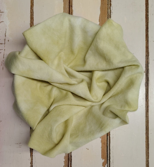 GOLDEN PEAR 02 M Hand Dyed Wool (Wholesale)
