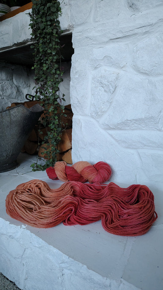 CM #8 | Hand Dyed Wool Yarn (Wholesale)
