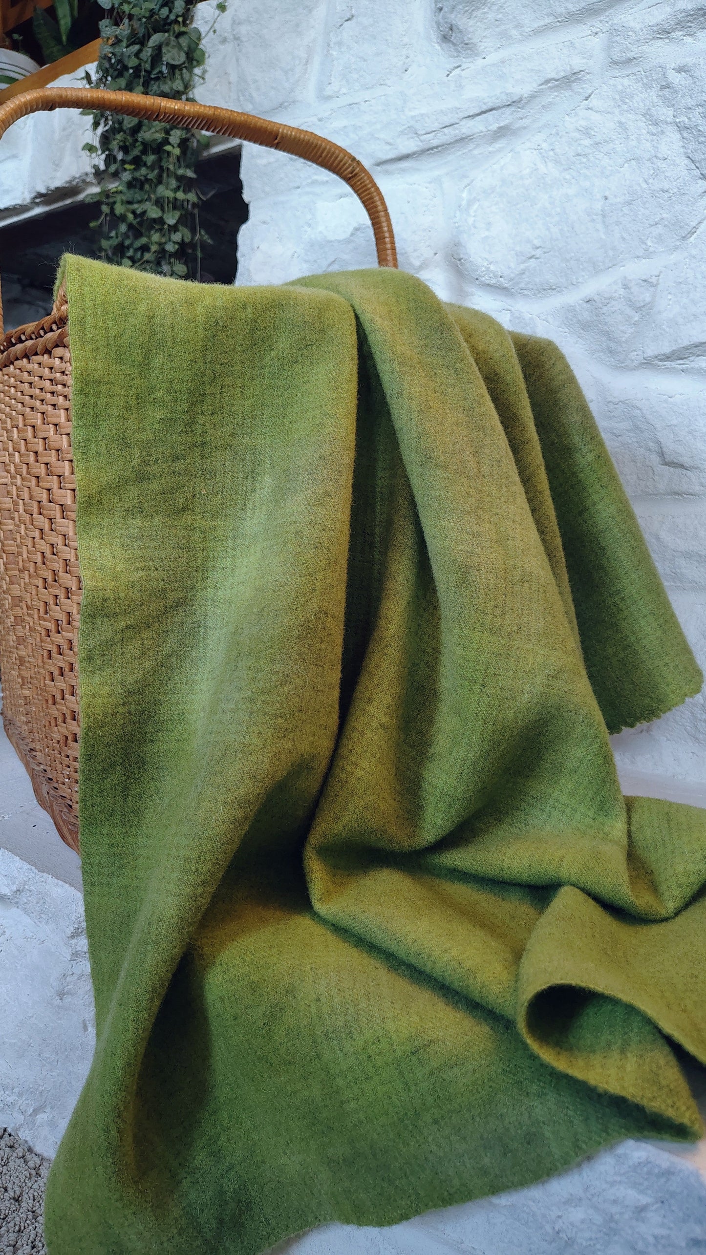 Avocado Hand Dyed GP Wool