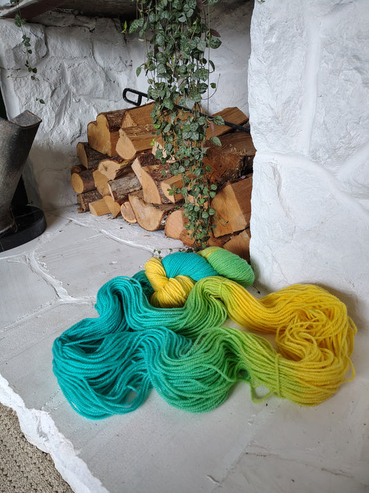 YM #16 | Hand Dyed Wool Yarn