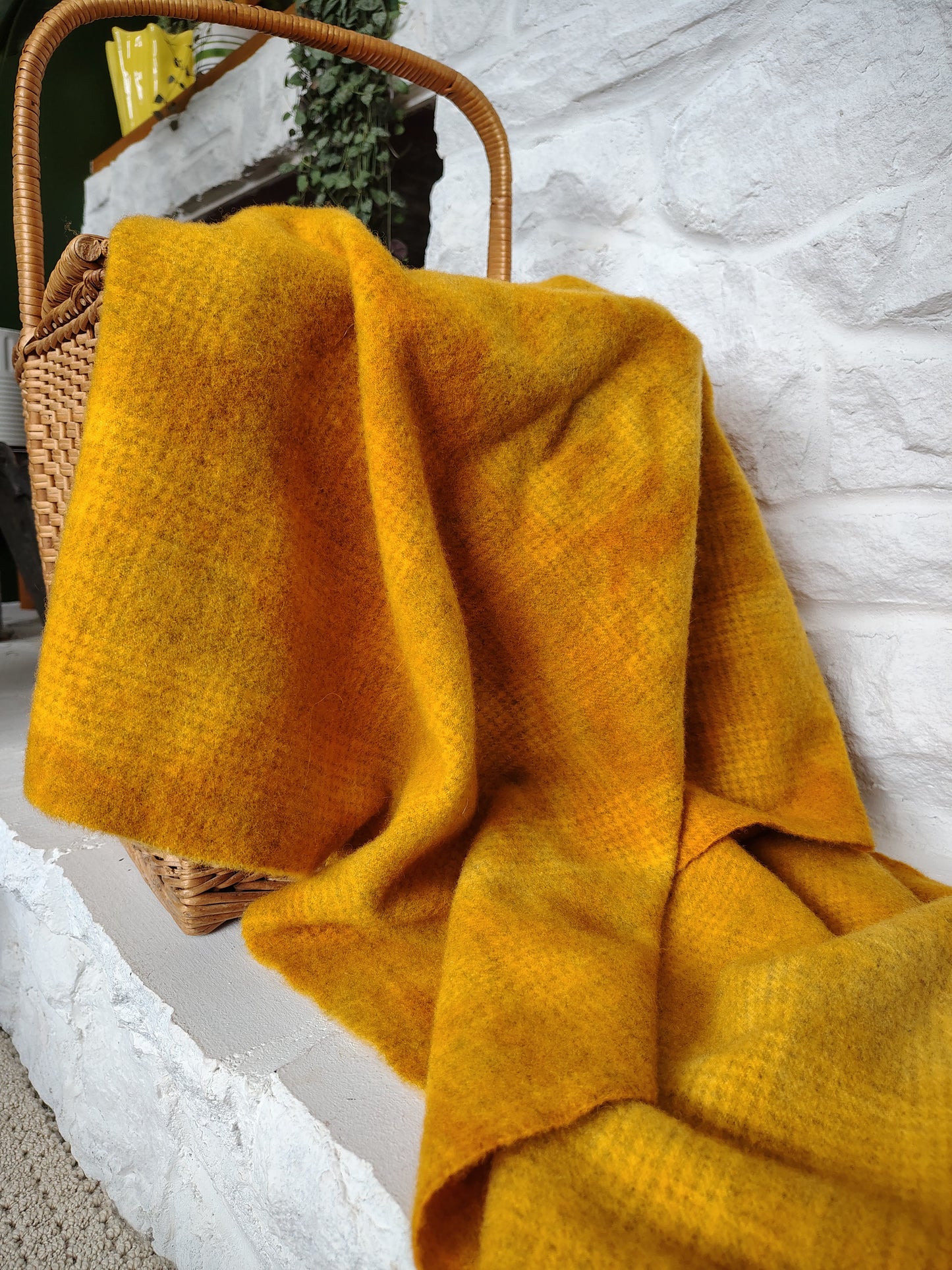 Mustard Hand Dyed GP Wool (Wholesale)