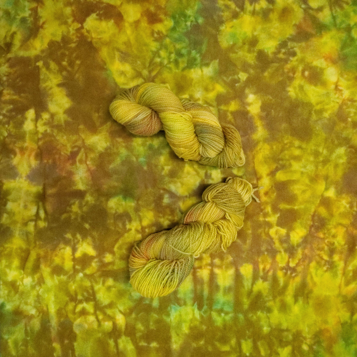 Autumn Splendor Hand Dyed Wool Yarn (Wholesale)
