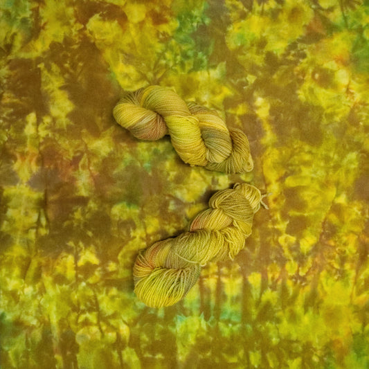 Autumn Splendor Hand Dyed Wool Yarn