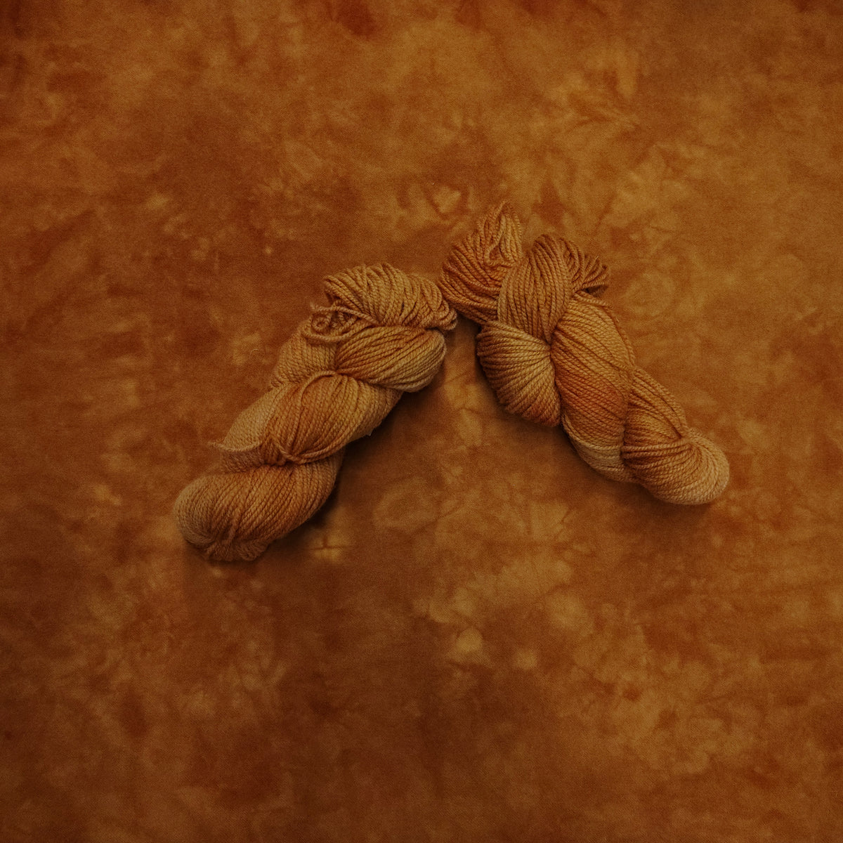 Pumpkin Pie Hand Dyed Wool Yarn (Wholesale)