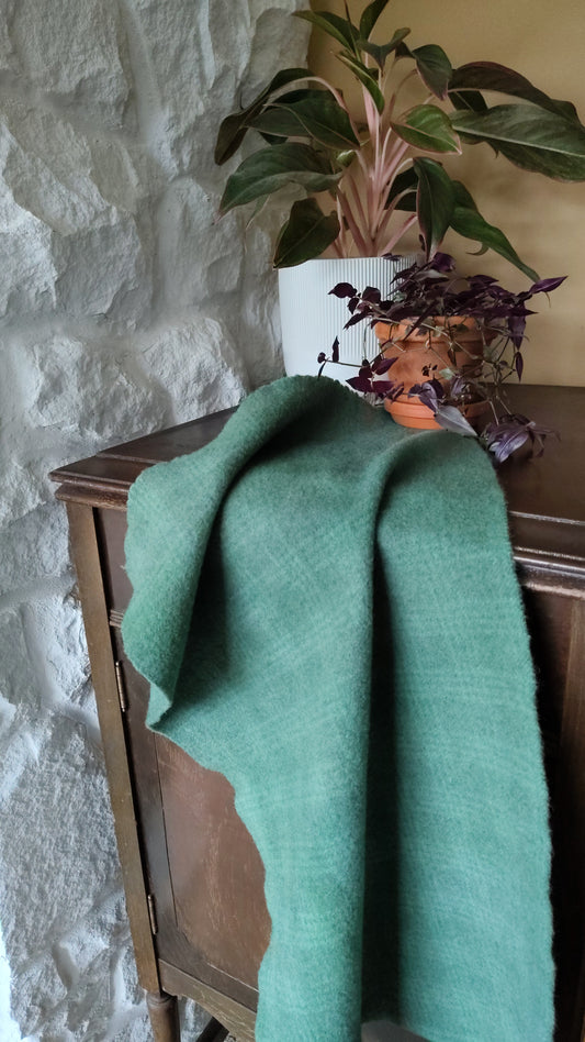 #118 Hand Dyed Quarter Yard