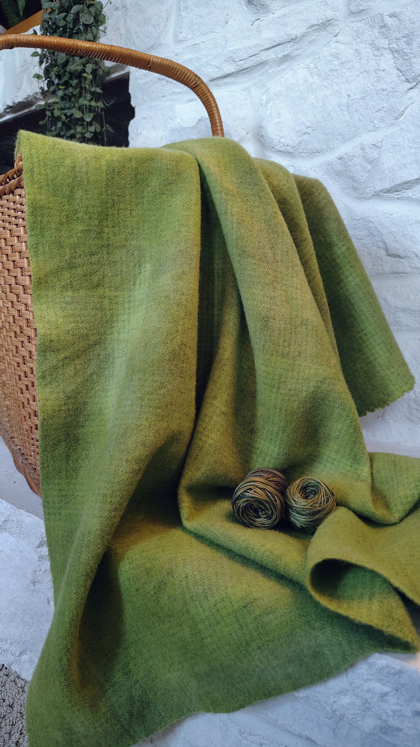 Avocado Hand Dyed GP Wool (Wholesale)