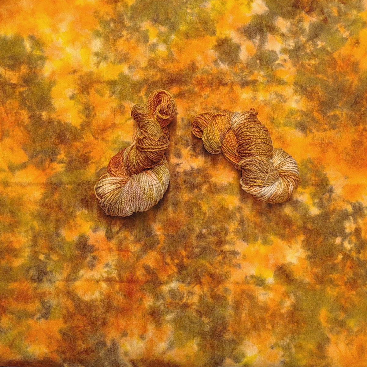 PUMPKIN HARVEST Hand Dyed Wool (Wholesale)
