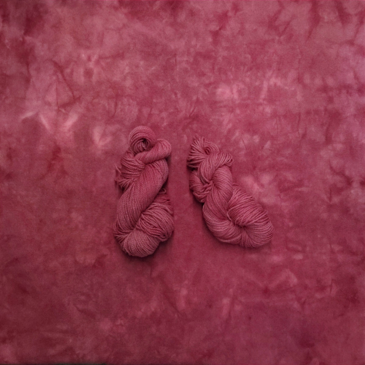 Flowering Crab Hand Dyed Wool
