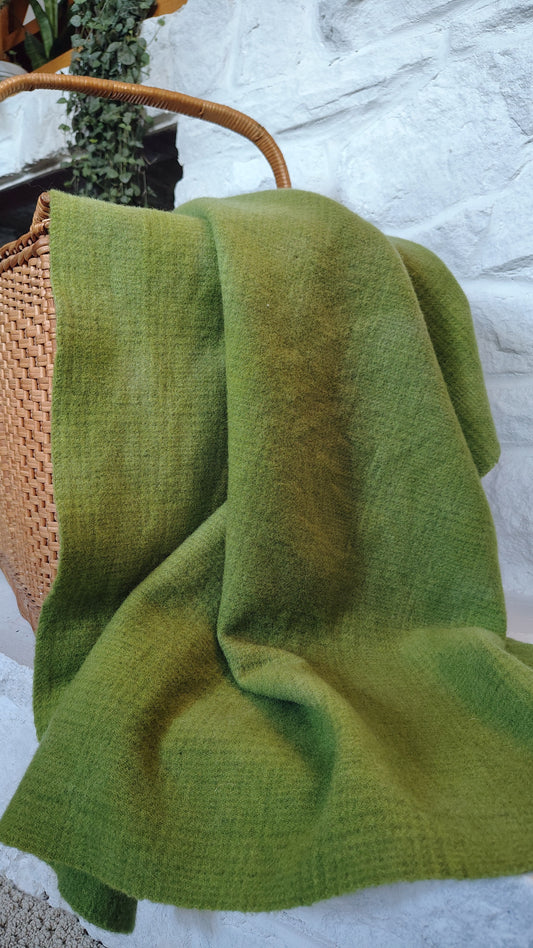 Avocado Hand Dyed GnP Wool (Wholesale)