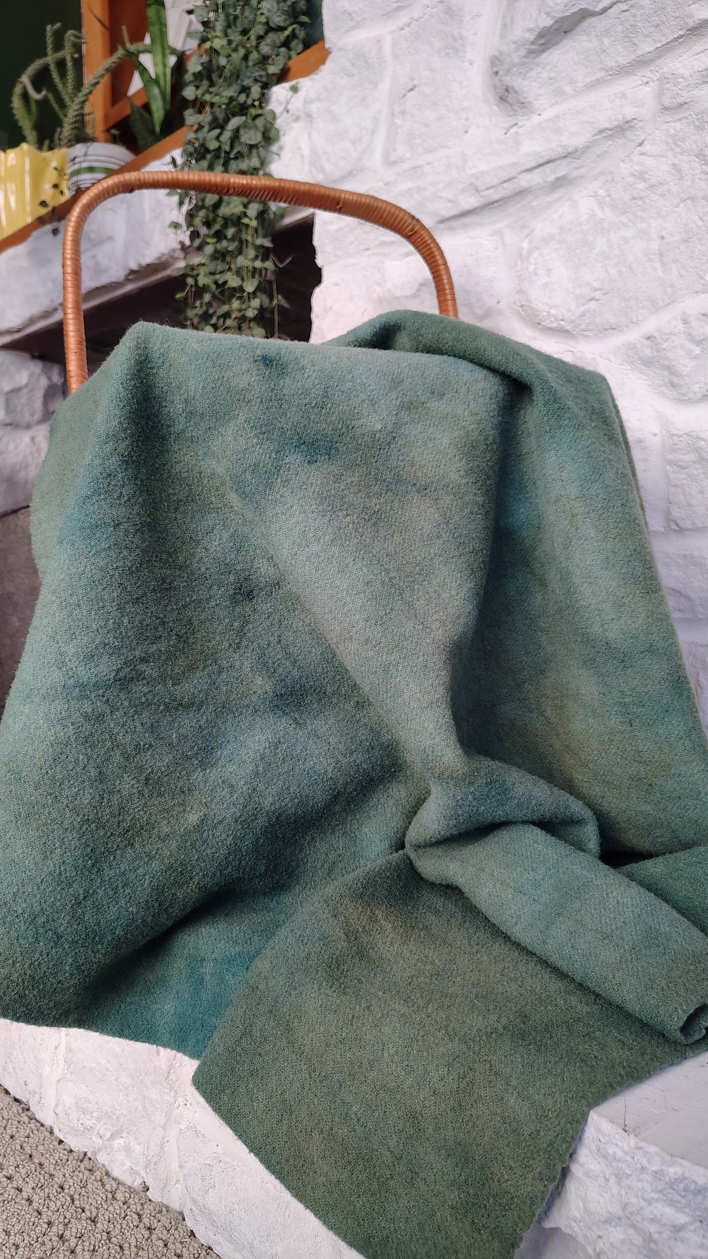 Evergreen Hand Dyed BP Wool (Wholesale)