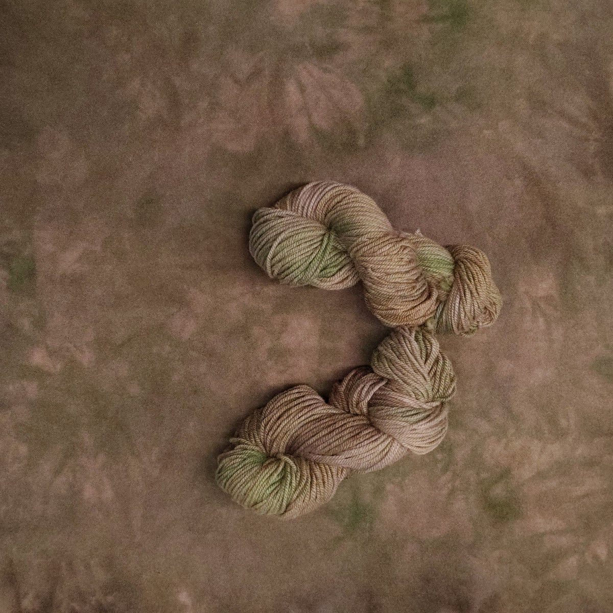 Mossy Trunk Hand Dyed Wool Yarn (Wholesale)