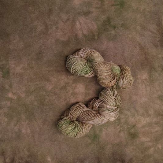 Mossy Trunk Hand Dyed Wool Yarn