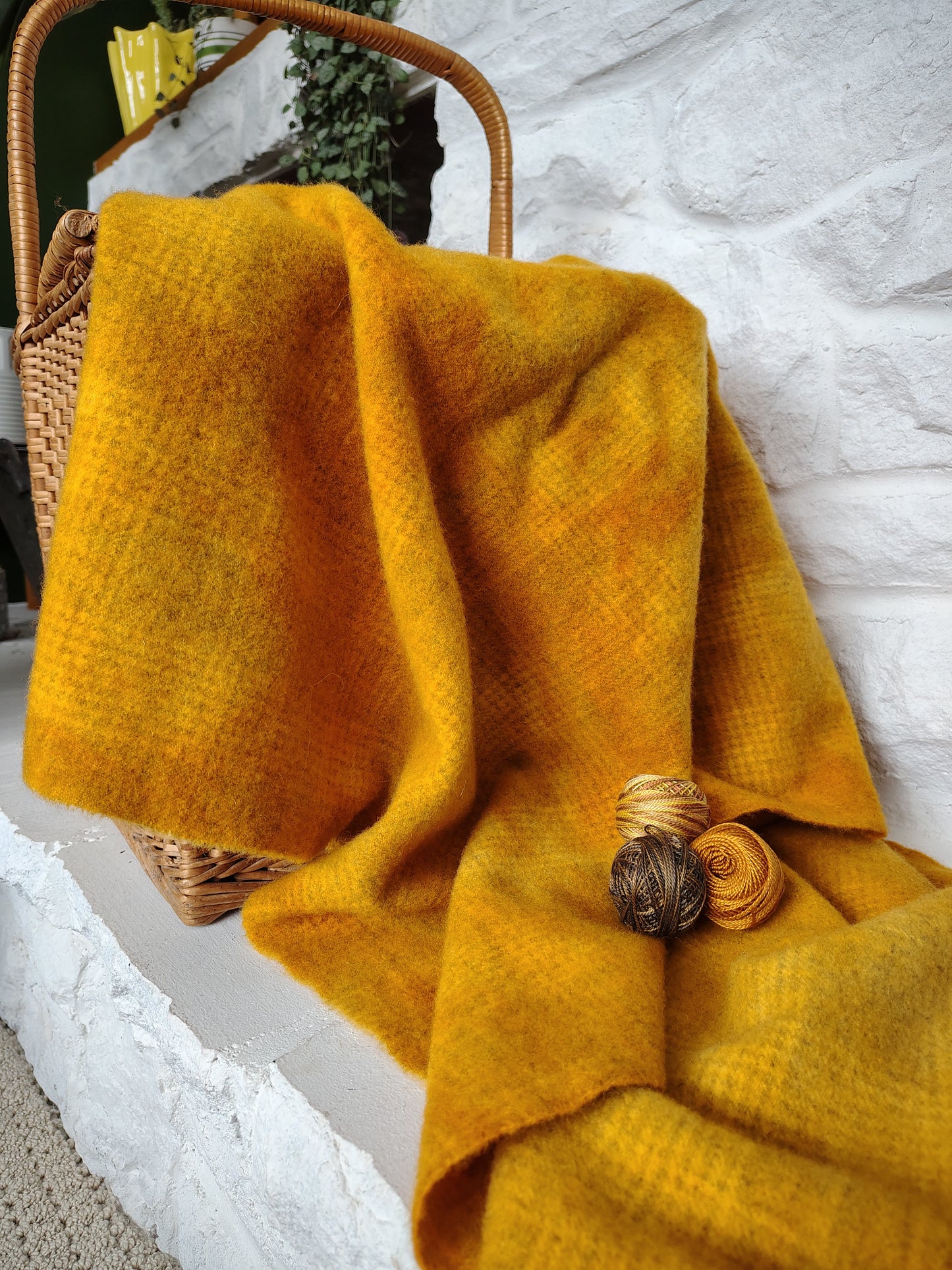 Mustard Hand Dyed GP Wool (Wholesale)