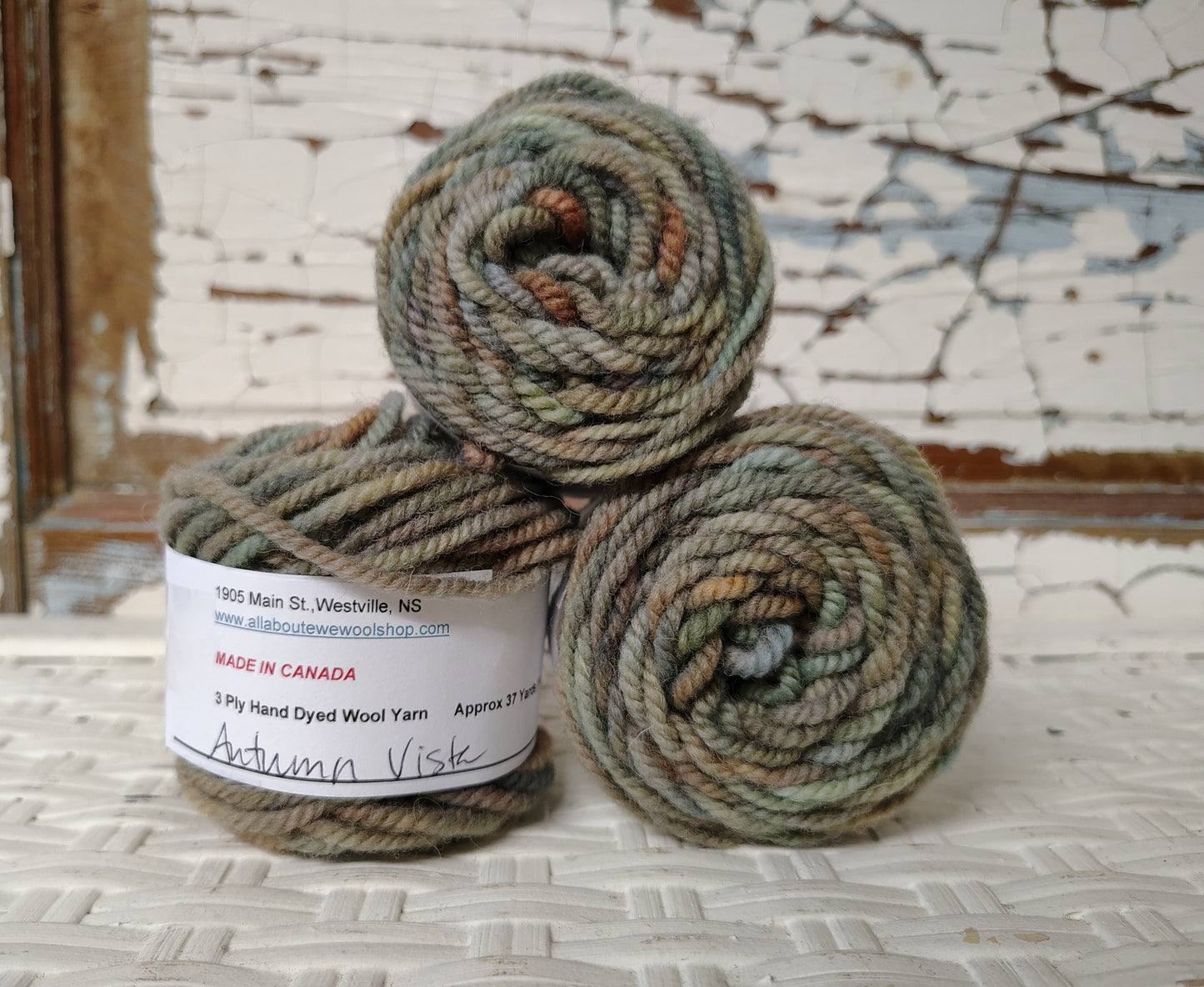 Autumn Vista Hand Dyed Wool Yarn Cake
