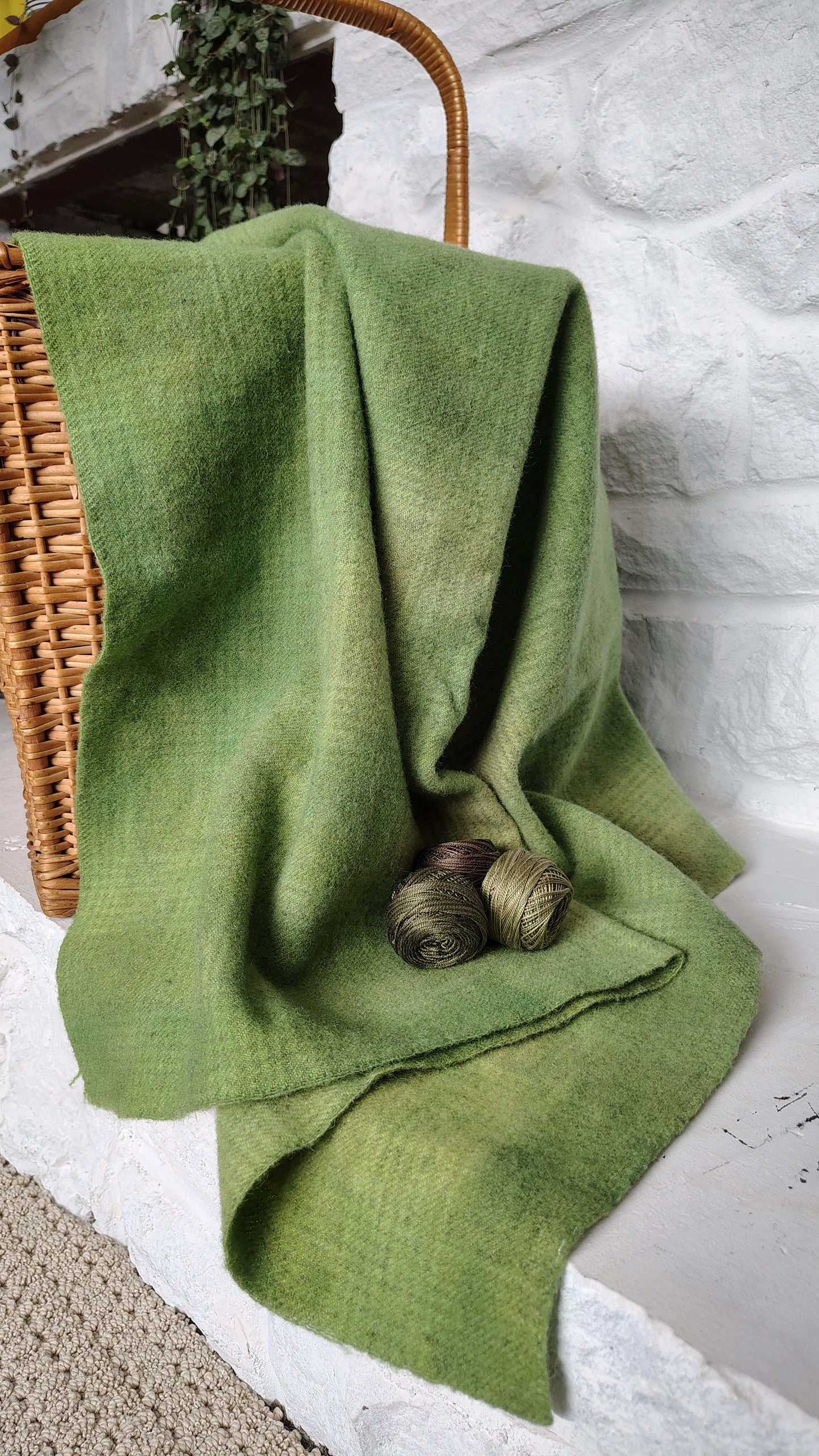 Moss Hand Dyed GP Wool (Wholesale)