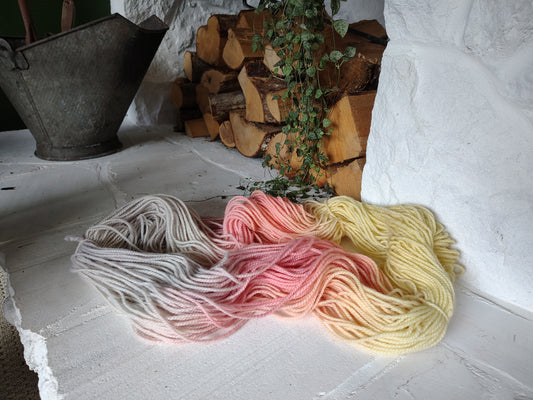 YM #14 | Hand Dyed Wool Yarn