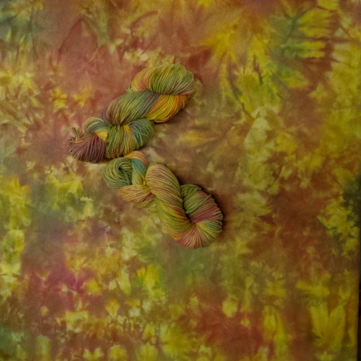 Jelly Bean Hand Dyed Wool Yarn