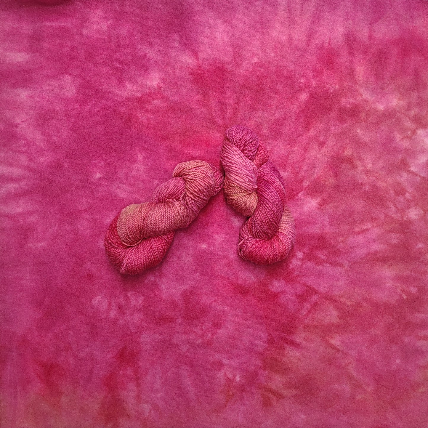 Dahlia Delight Hand Dyed Wool (Wholesale)