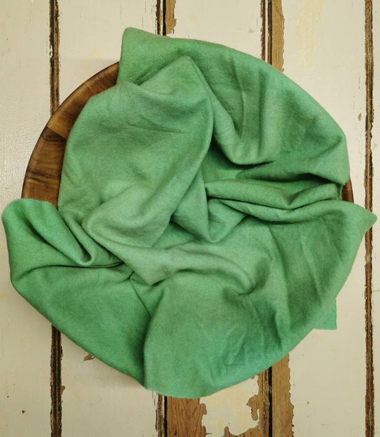 GREEN 02 Hand Dyed Wool - All About Ewe Wool Shop